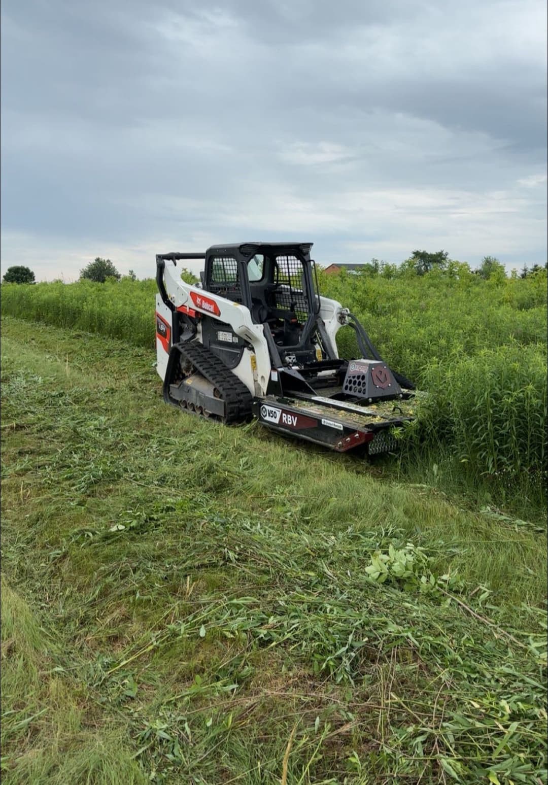 Compact skid steer loader mowing overgrown grass in a field under cloudy skies.