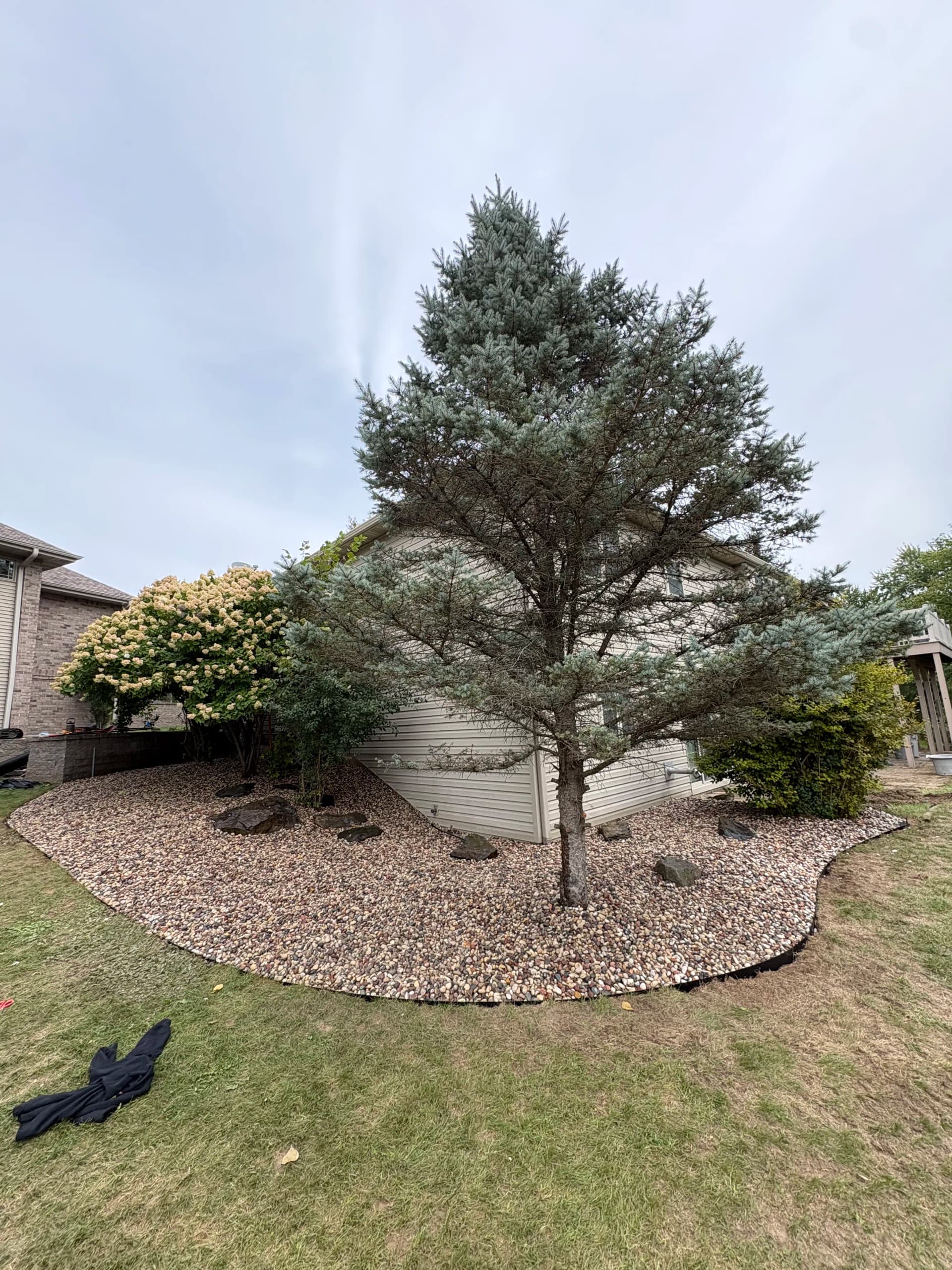 Gallery photos for Overgrown Landscape Beds Cleaned Up with Low-Maintenance Rock: Image #1