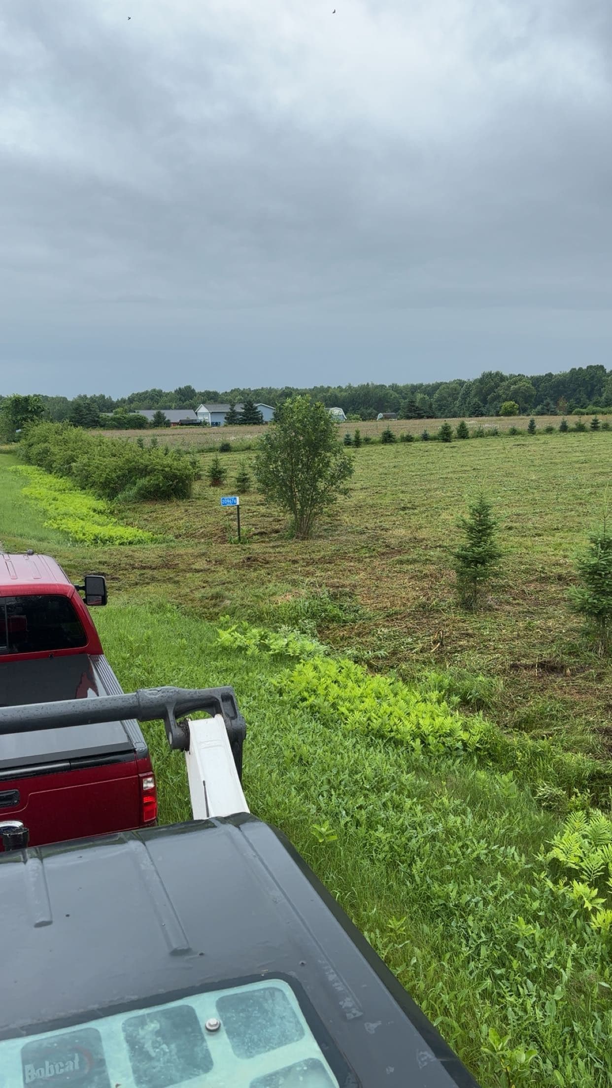 Gallery photos for Overgrown Field Cleared and Cleaned Up with a Brush Hog: Image #2