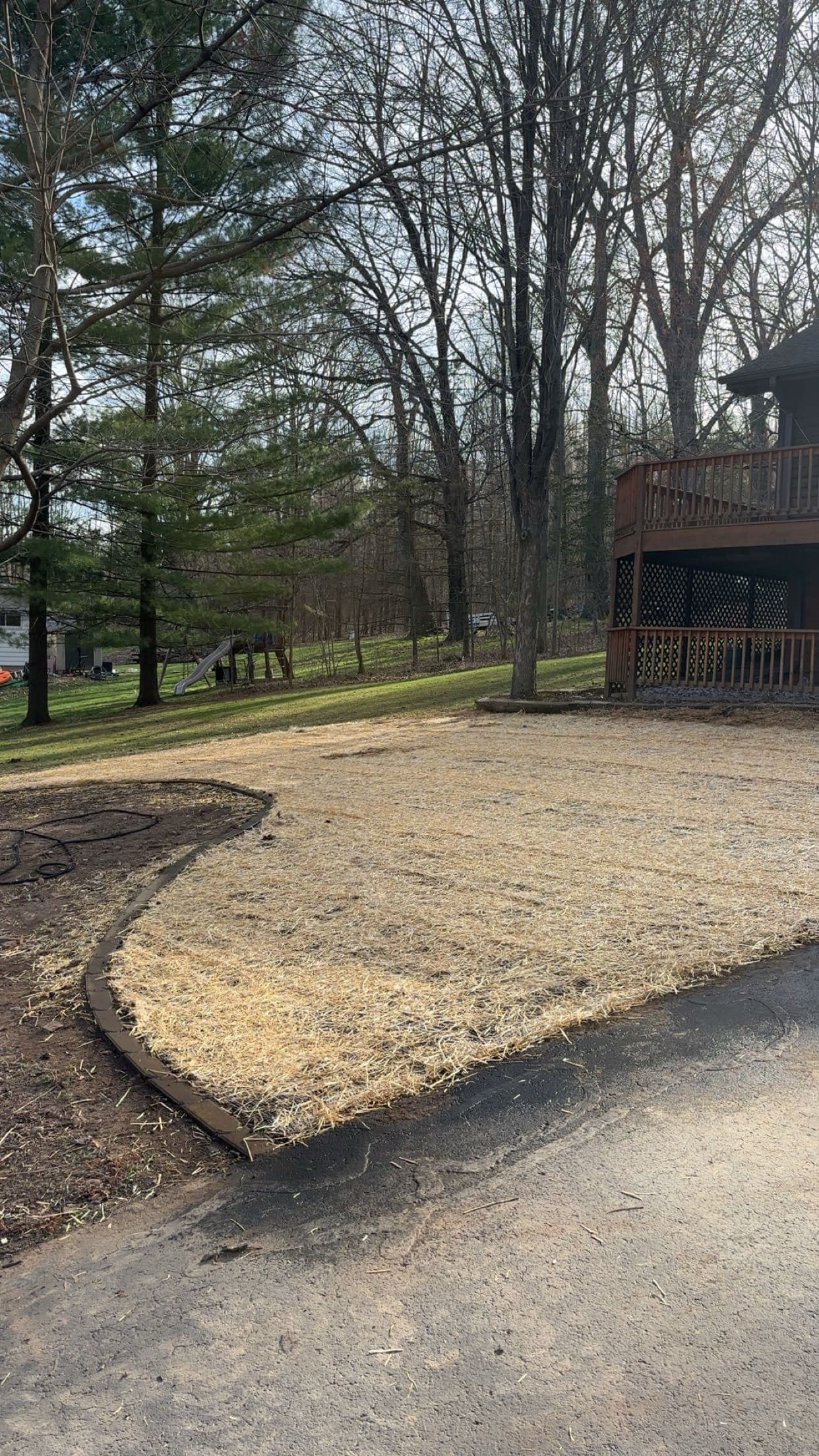 Worn Out Lawn Stripped Down and Rebuilt From Scratch image