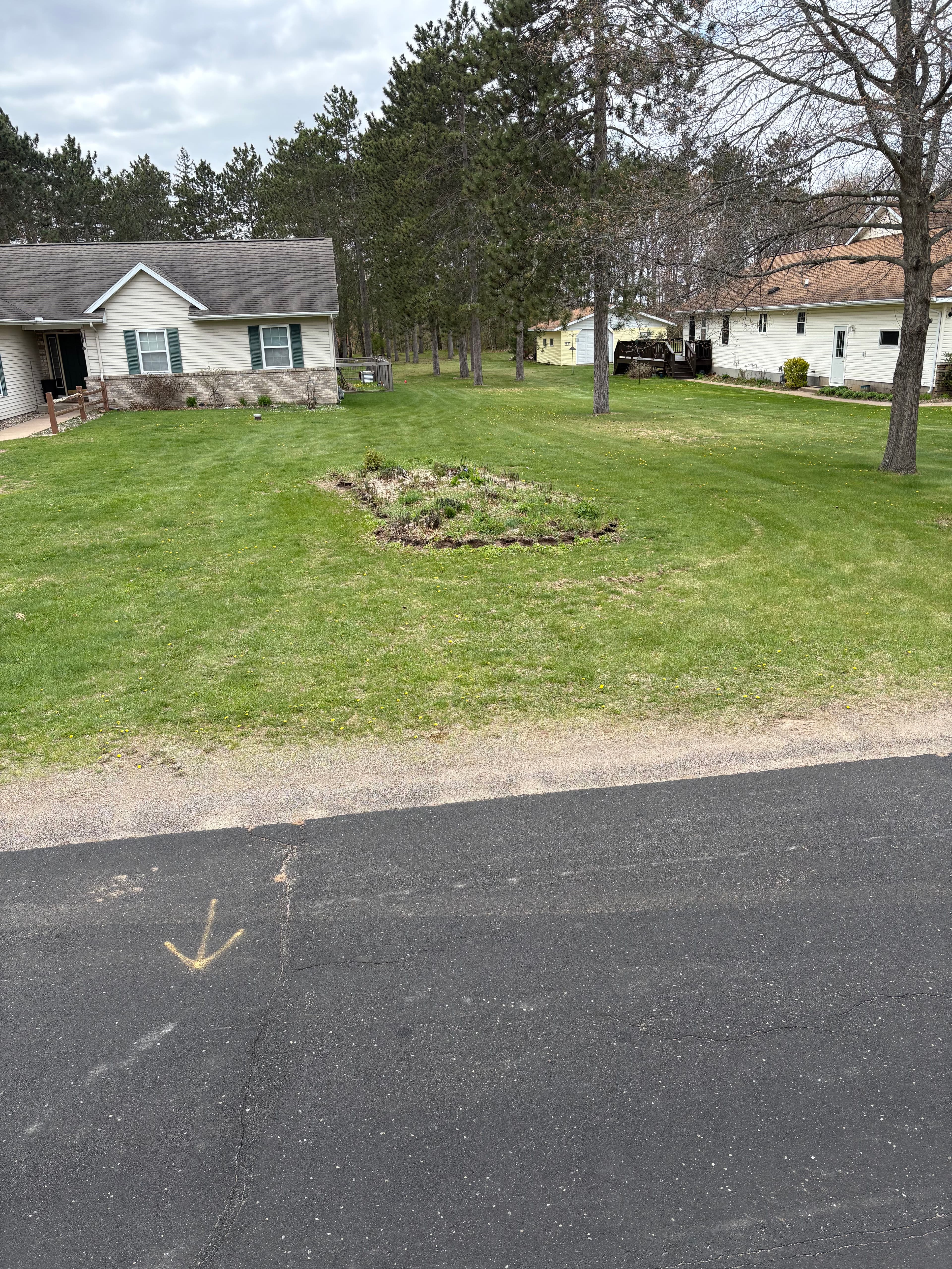 Project Overgrown Front Yard Planter Removed and Cleared Clean image