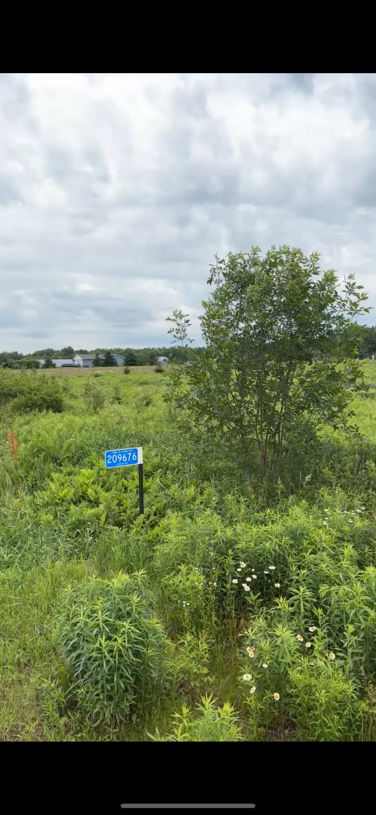 Gallery photos for Overgrown Field Cleared and Cleaned Up with a Brush Hog: Image #1