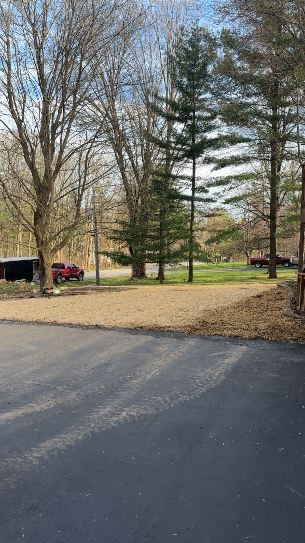 Gallery photos for Worn Out Lawn Stripped Down and Rebuilt From Scratch: Image #1