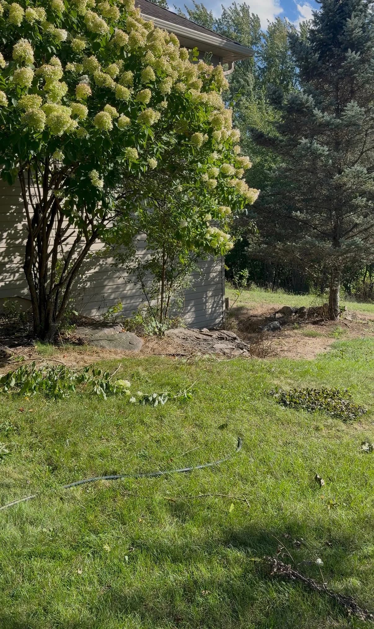 Gallery photos for Overgrown Landscape Beds Cleaned Up with Low-Maintenance Rock: Image #8