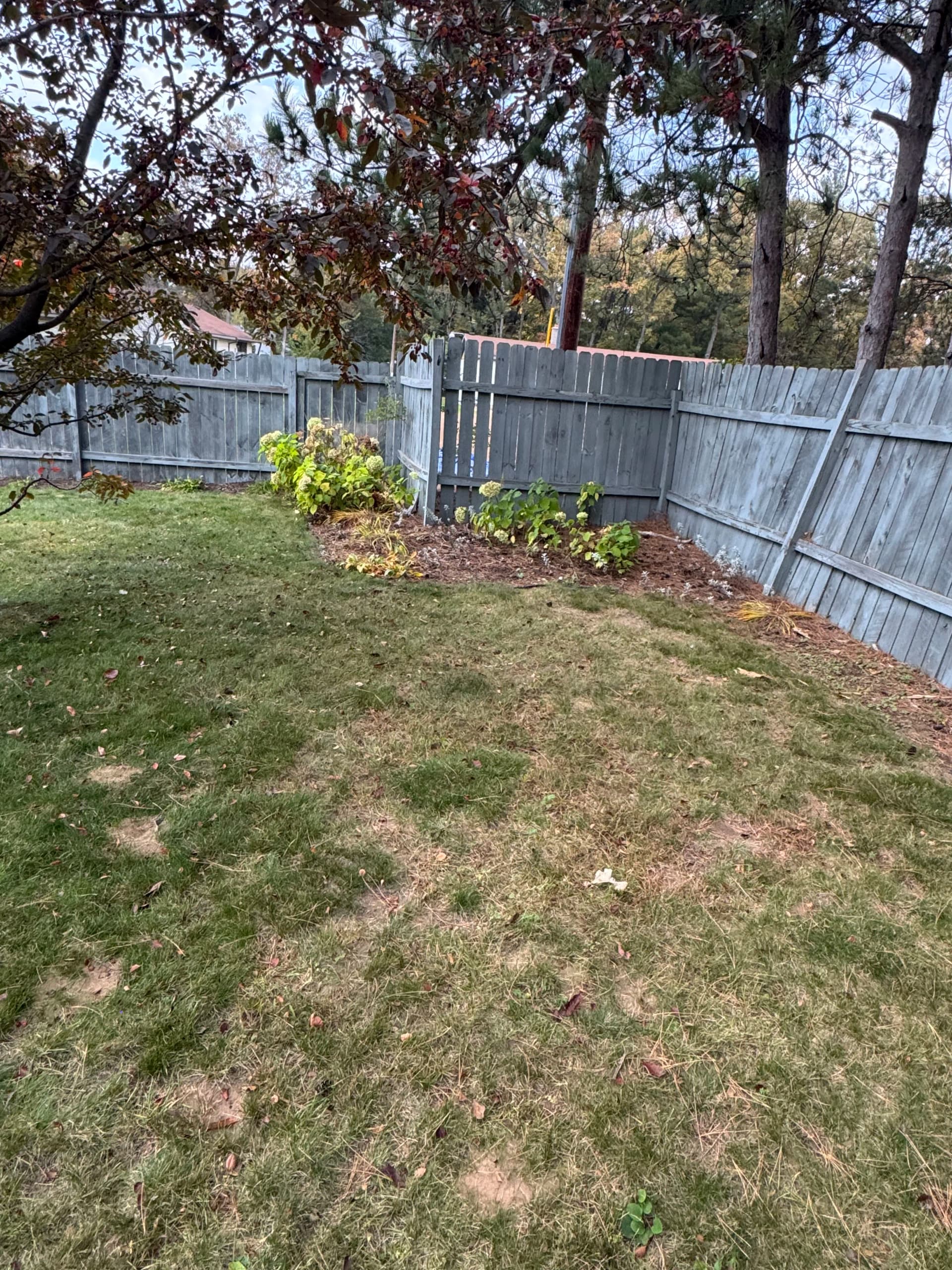 Gallery photos for Old Mulch Out, Basin Blue Rock In - Bed Cleanup Done Right: Image #5