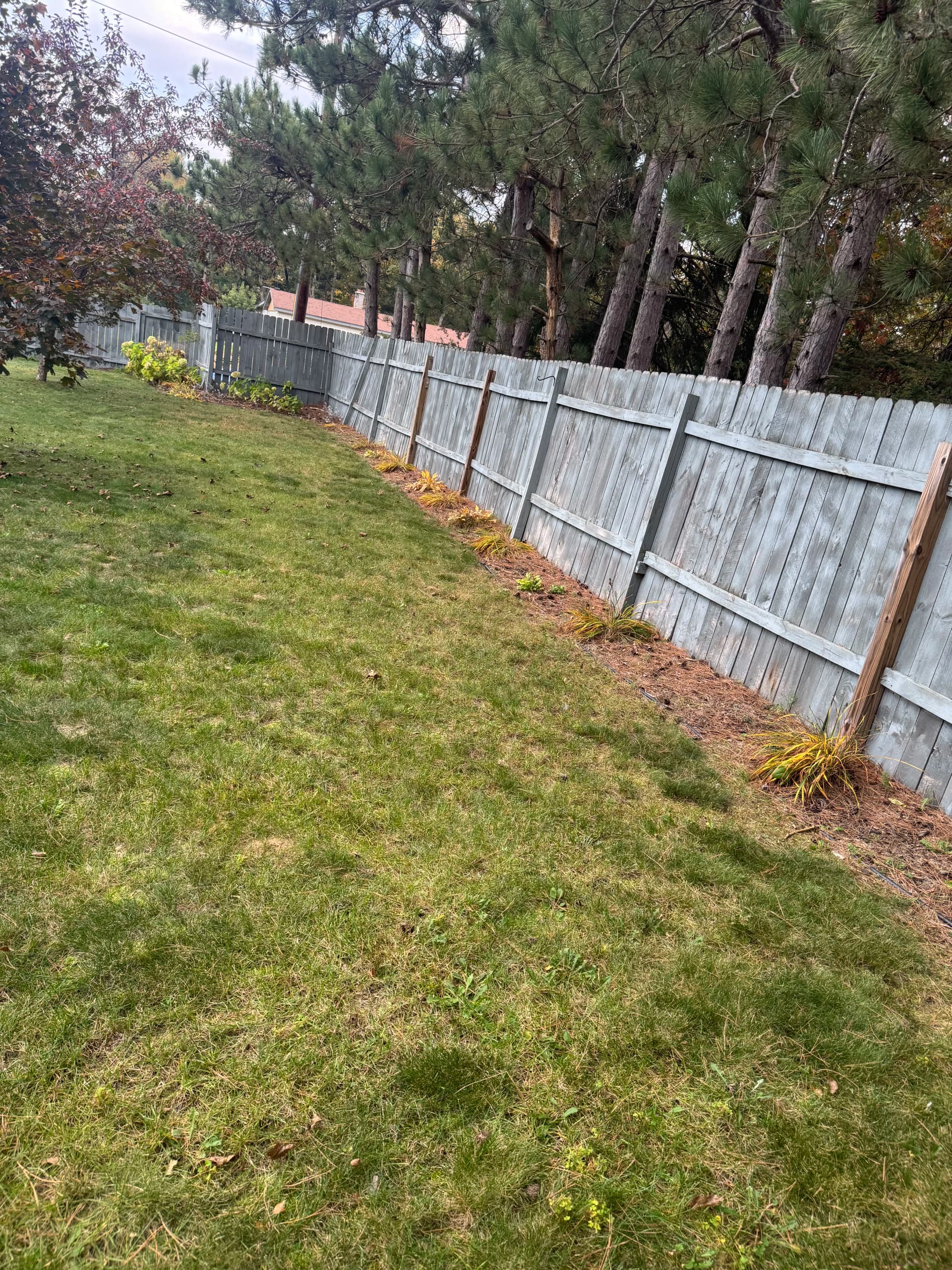 Gallery photos for Old Mulch Out, Basin Blue Rock In - Bed Cleanup Done Right: Image #8