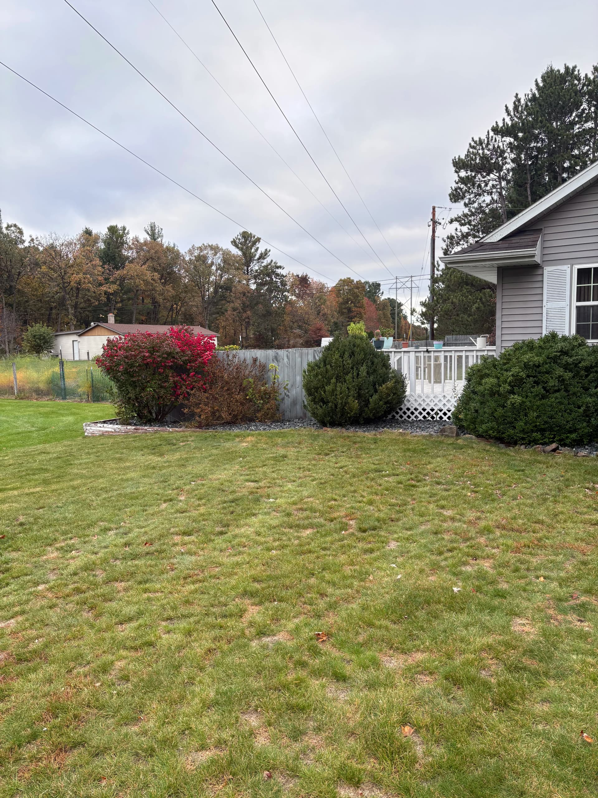 Gallery photos for Old Mulch Out, Basin Blue Rock In - Bed Cleanup Done Right: Image #1