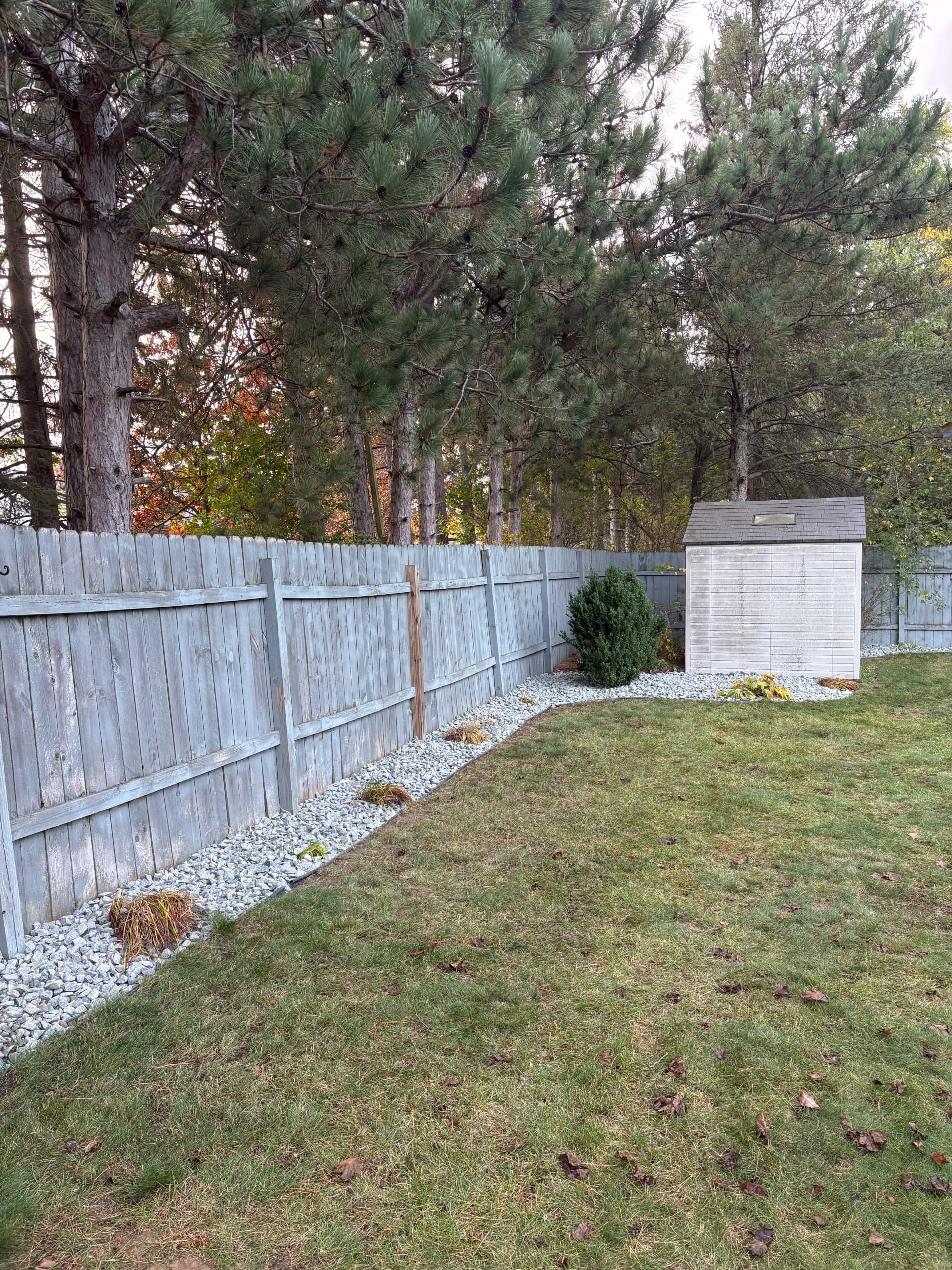 Gallery photos for Old Mulch Out, Basin Blue Rock In - Bed Cleanup Done Right: Image #3