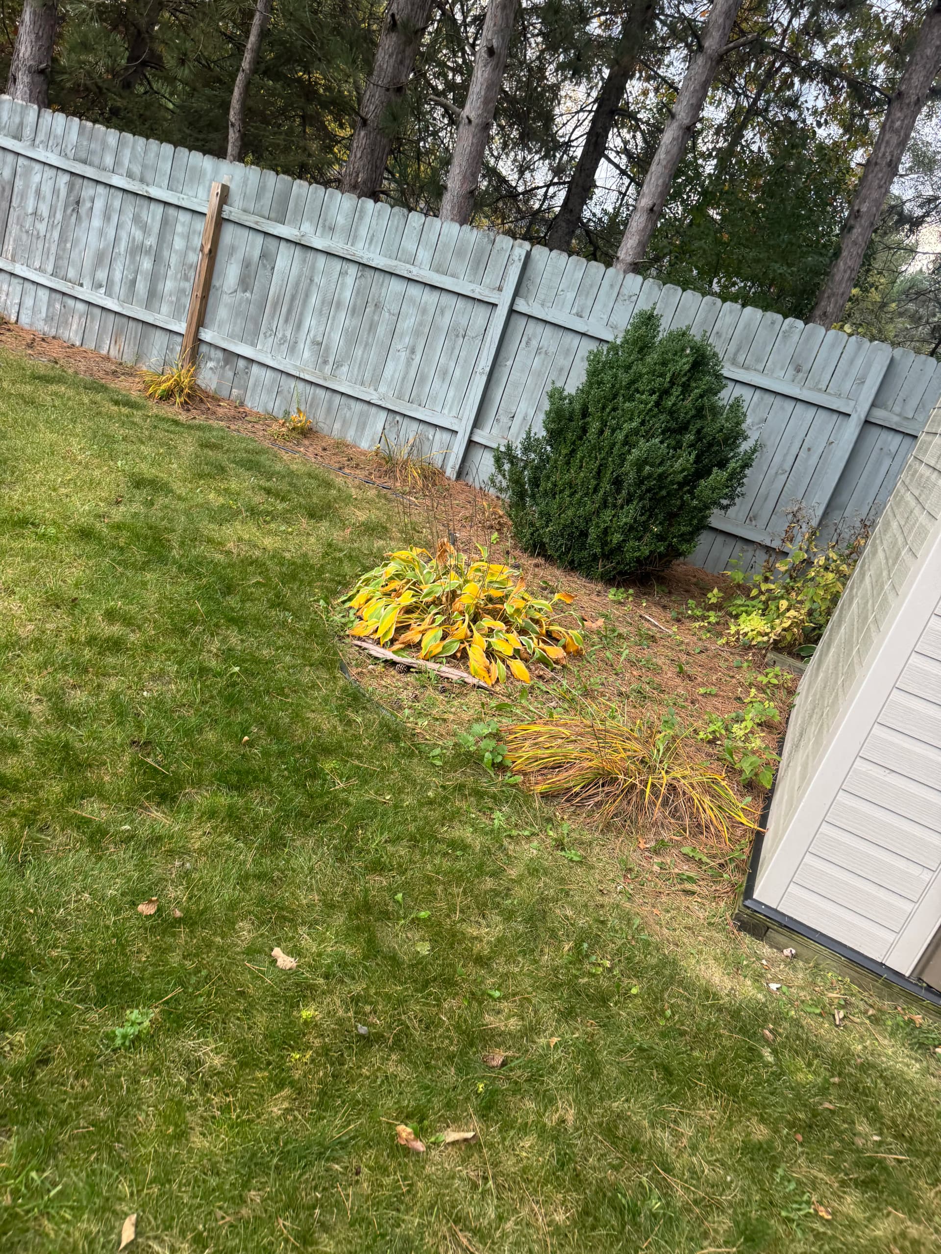Gallery photos for Old Mulch Out, Basin Blue Rock In - Bed Cleanup Done Right: Image #7
