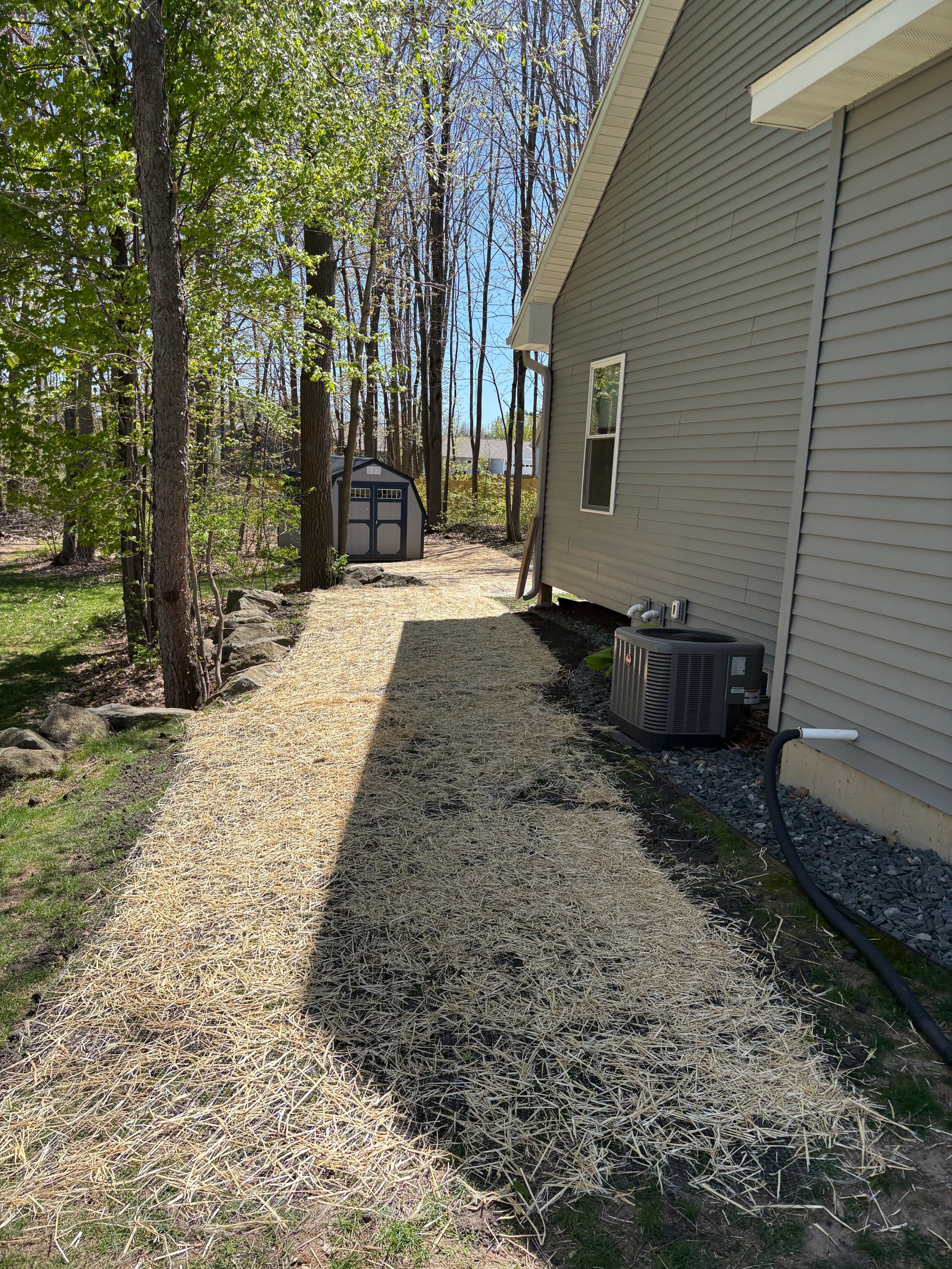 Gallery photos for New Concrete Steps, Slabs, and Lawn Sections at a Home Entry: Image #6